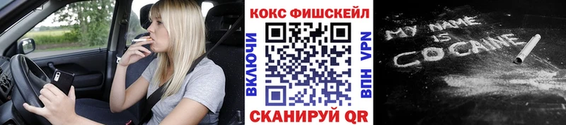 COCAIN Fish Scale  даркнет сайт  Суджа 