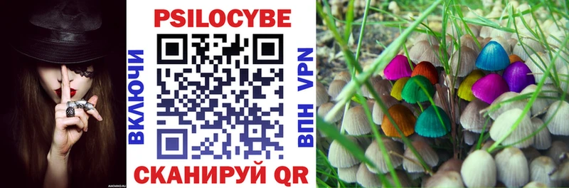 Псилоцибиновые грибы прущие грибы  Суджа 