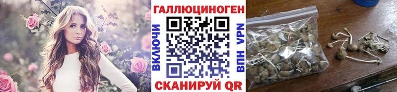 Галлюциногенные грибы Cubensis Суджа